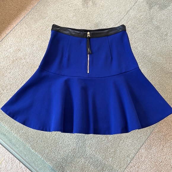 Club Monaco Mini Skirt - Picture 6 of 9